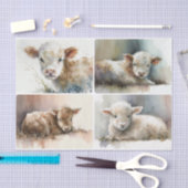 Gewoon een Baby Tissuepapier (Craft)