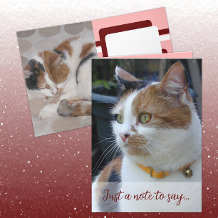 Gewoon een briefje om te zeggen 3 kattenfoto's bor kaart