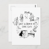 Gewoon een bundel koude katten briefkaart (Voorkant / Achterkant)