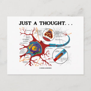 Gewoon een gedachte... (Neuron/Synapse) Briefkaart