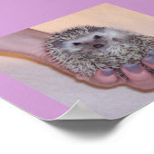 Gewoon een handvolle egel poster (Hoek)