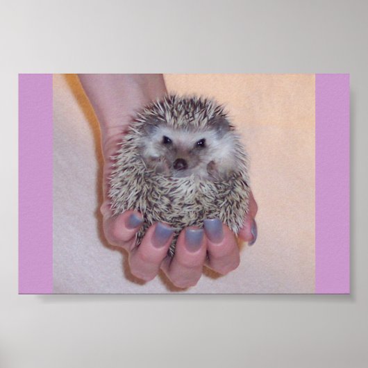 Gewoon een handvolle egel poster (Voorkant)