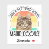 Gewoon een jongen die van Maine Coons houdt Sticker (Vel)