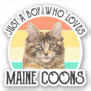 Gewoon een jongen die van Maine Coons houdt Sticker