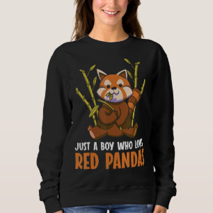 Gewoon een jongen die van Red Pandas Red Panda hou Trui