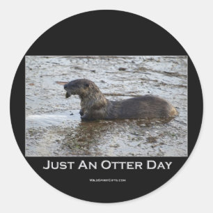 Gewoon een Otter Day Gifts Ronde Sticker