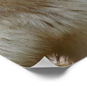 Gewoon een paar Wolven Poster (Hoek)