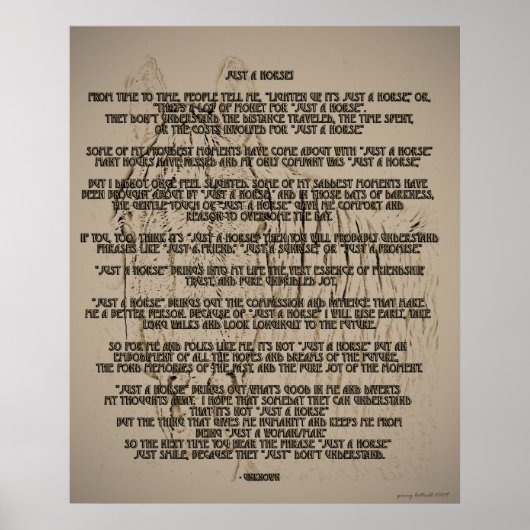 Gewoon een paard poster (Voorkant)