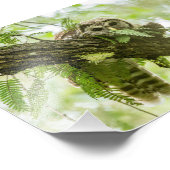 Gewoon een Peek Foto Afdruk (Hoek)