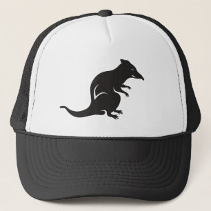 Gewoon een ritje trucker pet
