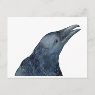 Gewoon een vriendelijke kauw briefkaart