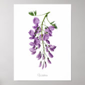 Gewoon Elegant  botanisch drukmiddel Poster (Voorkant)