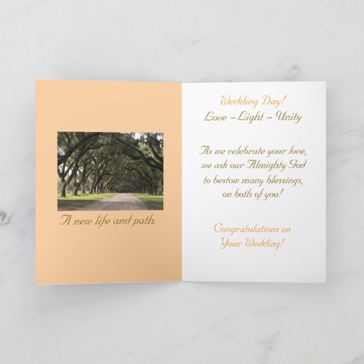 Gewoon elegant, waterval landschap, bruiloft Kaart (Binnen)