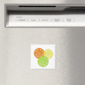 Gewoon Fruitig Magneet (Insitu (Vaatwasser))