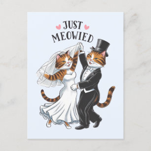 Gewoon getrouwd met poezen Grappige kat voor gehuw Briefkaart