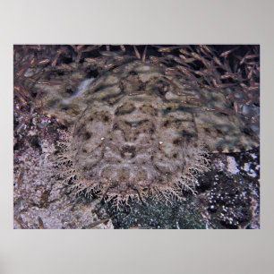 Gewoon gewicht poster