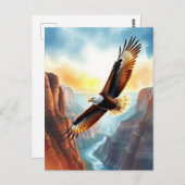 Gewoon Gezegde hallo | Adelaar zweeft boven Canyon Briefkaart (Voorkant / Achterkant)