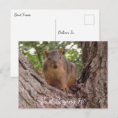 Gewoon Gezegde Hi, Cute Squirrel in Tree Briefkaart (Voorkant / Achterkant)