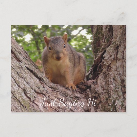 Gewoon Gezegde Hi, Cute Squirrel in Tree Briefkaart (Voorkant)