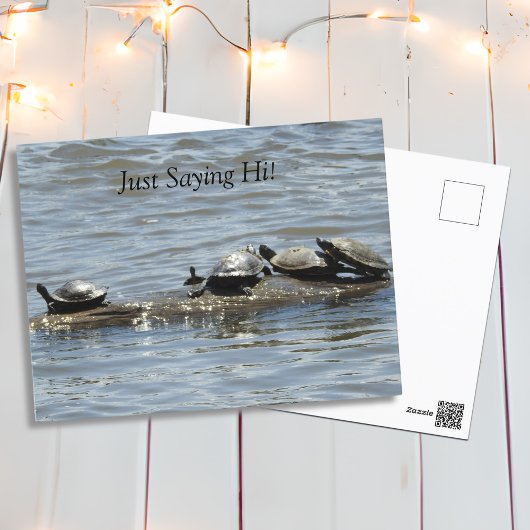 Gewoon Gezegde hoi, Schattigee schildpadden zonneb Briefkaart