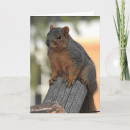 Gewoon inchecken om hoi te zeggen kaart