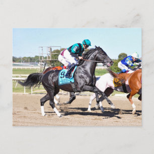 Gewoon Kenny bellen Briefkaart