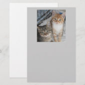 Gewoon Kittens Briefpapier (Voorkant / Achterkant)