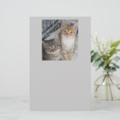 Gewoon Kittens Briefpapier (Staand voorkant)