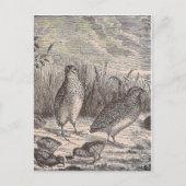 Gewoon kwarail briefkaart (Voorkant)