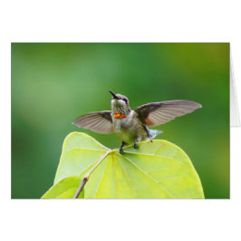 Gewoon langs stoppen!