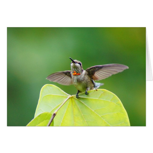 Gewoon langs stoppen! (Voorkant Horizontaal)