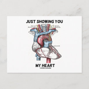 Gewoon mijn hart tonen (anatomisch hart) briefkaart