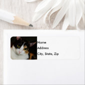 Gewoon om je heen etiket (Insitu)