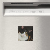 Gewoon om je heen magneet (Insitu (Vaatwasser))