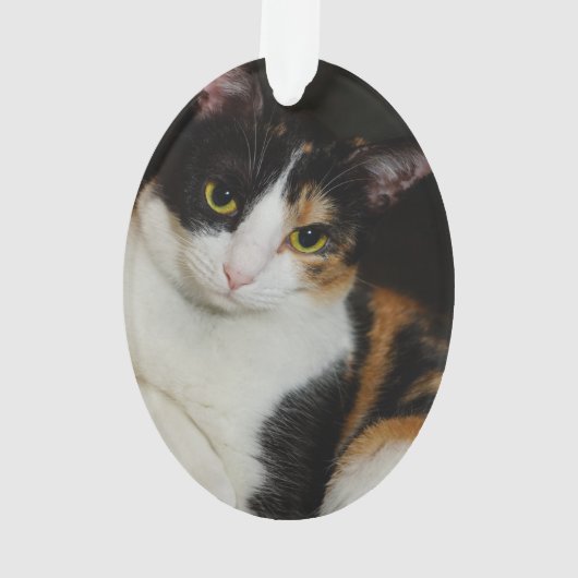 Gewoon om je heen ornament (achterkant)