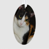 Gewoon om je heen ornament (voorkant)