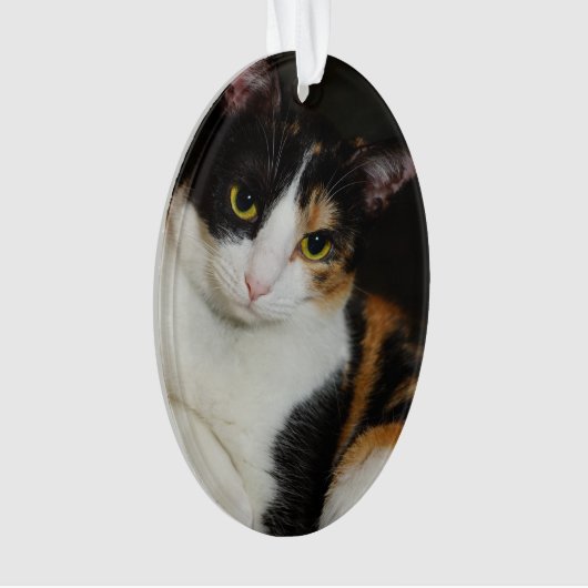 Gewoon om je heen ornament (voorkant)