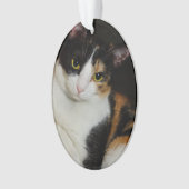 Gewoon om je heen ornament (voorkant)