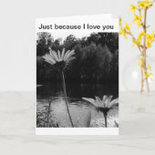 Gewoon omdat ik van je hou kaarten (Gele Bloem)