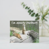 Gewoon Perfect Meerkat Briefkaart (Staand voorkant)