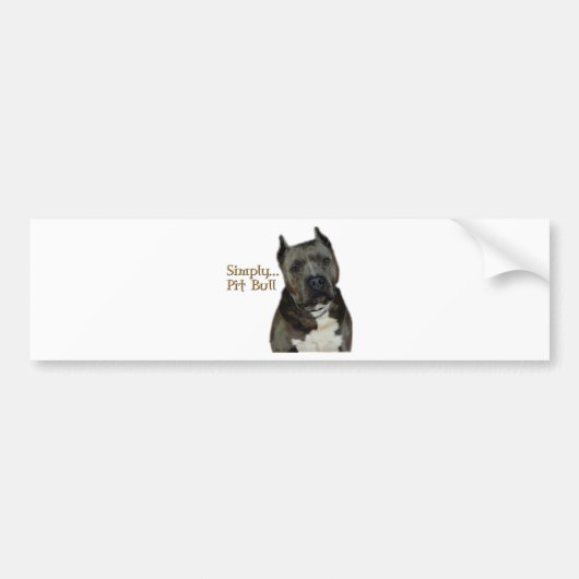 Gewoon PitBull Bumpersticker (Voorkant)