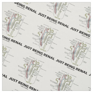 Gewoon renale anatomische Nephron Humor zijn Stof