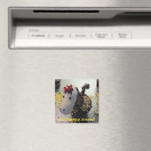 Gewoon rond een magneet paardrijden (Insitu (Vaatwasser))