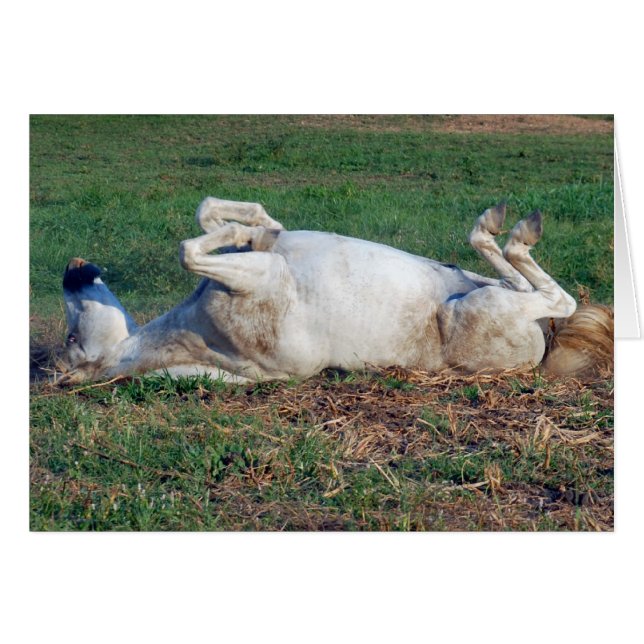 Gewoon rusten (Voorkant Horizontaal)