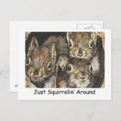 Gewoon Squirrellin rond Briefkaart (Voorkant / Achterkant)