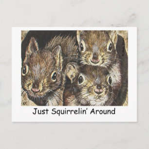 Gewoon Squirrellin rond Briefkaart