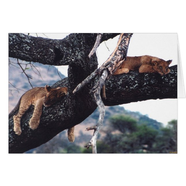 "Gewoon uithangen" (Voorkant Horizontaal)