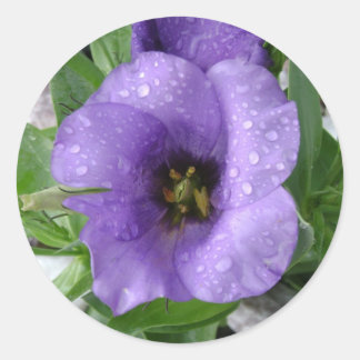 Gewoon water geven ronde sticker