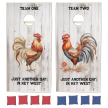 Gewoon weer een dag in Key West Florida Rooster