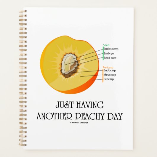 Gewoon weer een peachy day perzik anatomie planner (Voorkant)